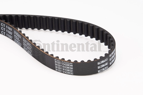 Timing Belt